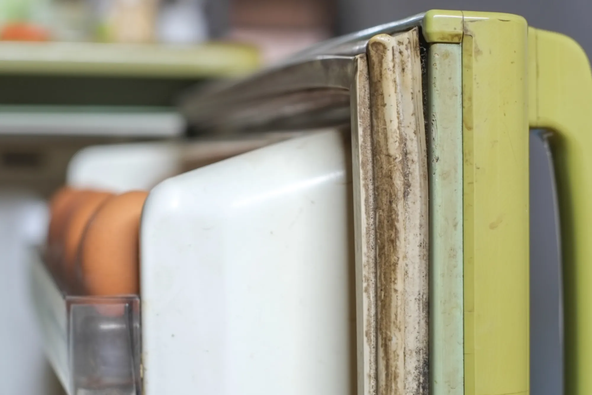 How to Fix Refrigerator Door Gasket Seal Leakage