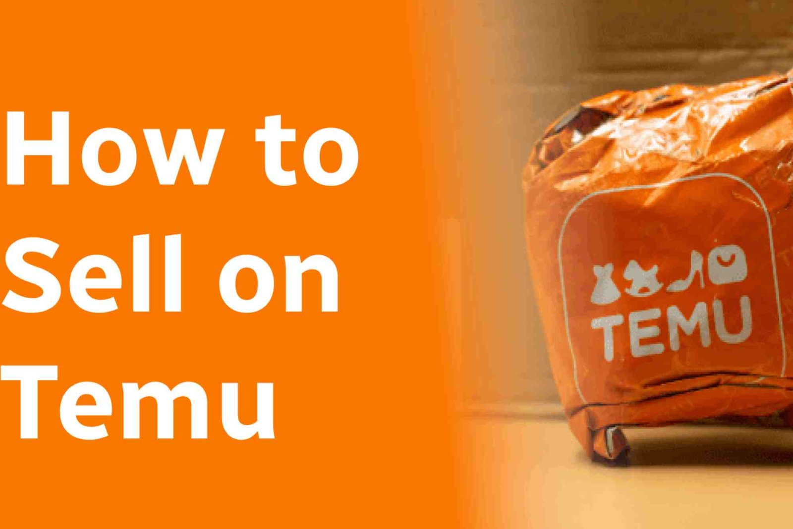 كيف أرفع المنتجات على تيمو؟